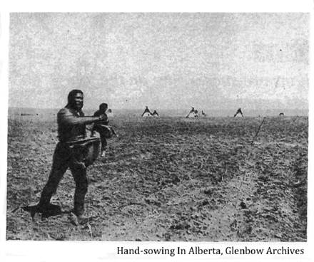 :::Nov 11 2021 1920 hand sowing.jpg